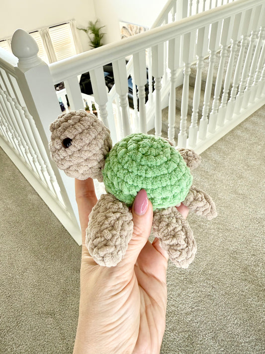 Franklin The Turtle